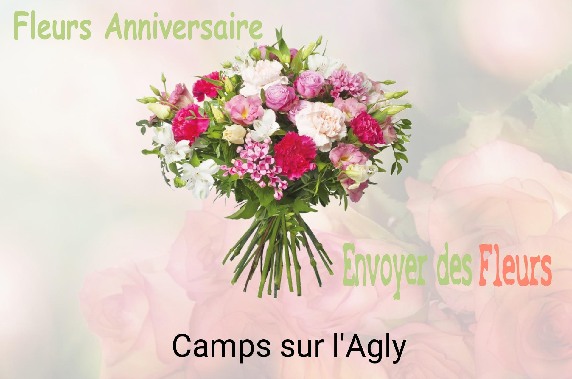 Bouquet de fleurs d’anniversaire livré à Camps-sur-l'Agly