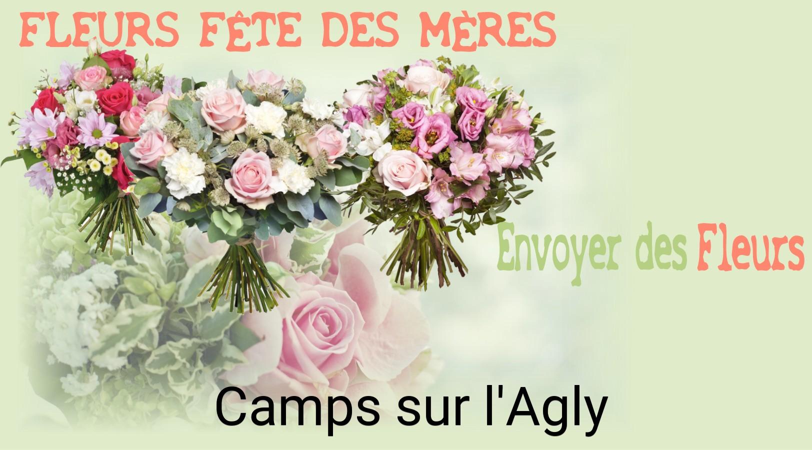 Bouquet de Fête des Mères livré à Camps-sur-l'Agly